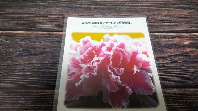 DSC_8002.JPG