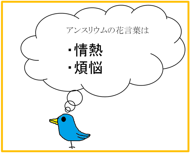 アンスリウム.png