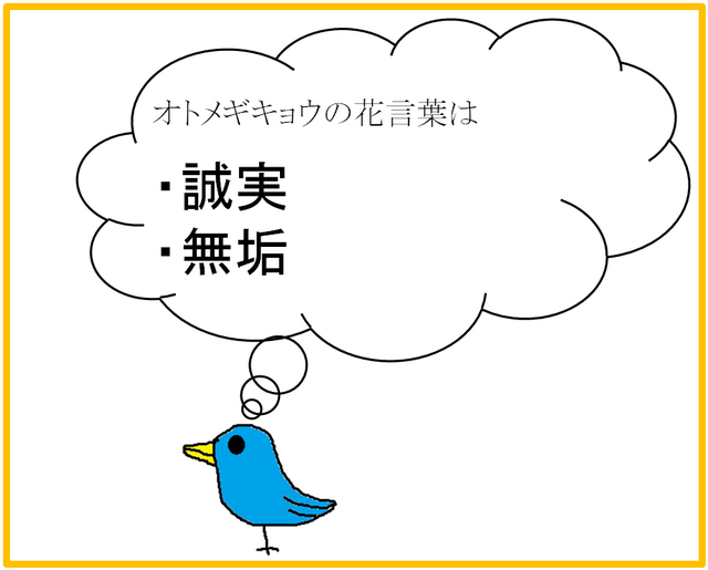 オトメギキョウ.png