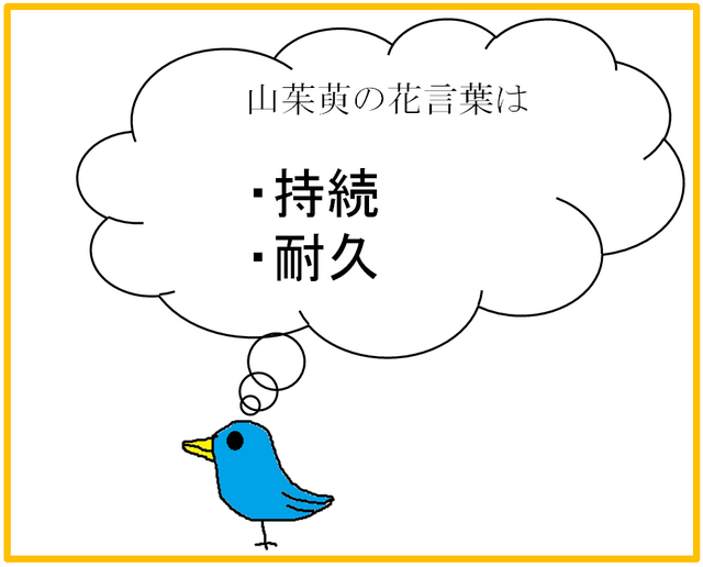 サンシュユ.png