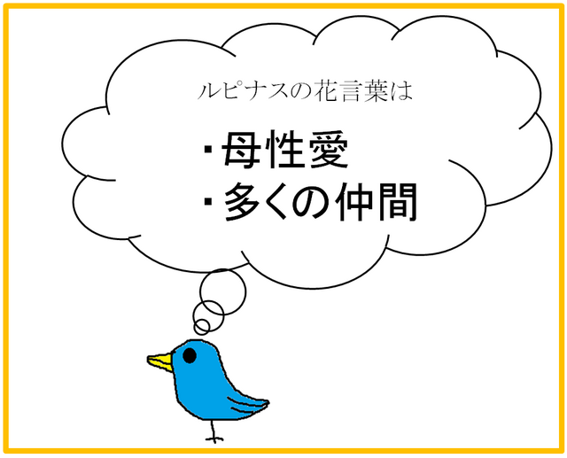 ルピナス.png
